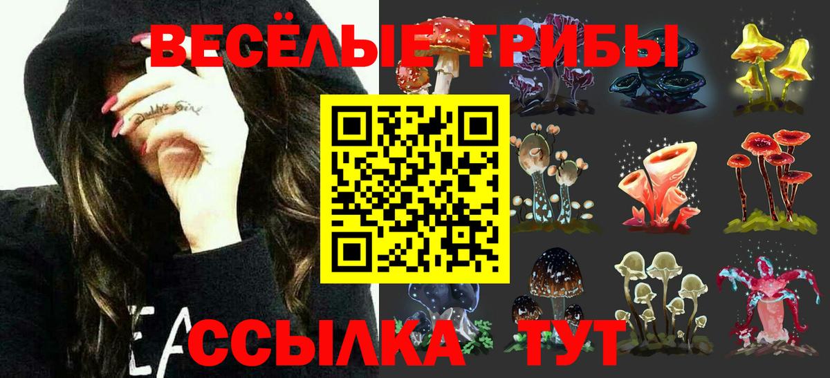 Галлюциногенные грибы Magic Shrooms  Вход с VPN  цена наркотик  Тында  Псилоцибиновые грибы GOLDEN TEACHER 